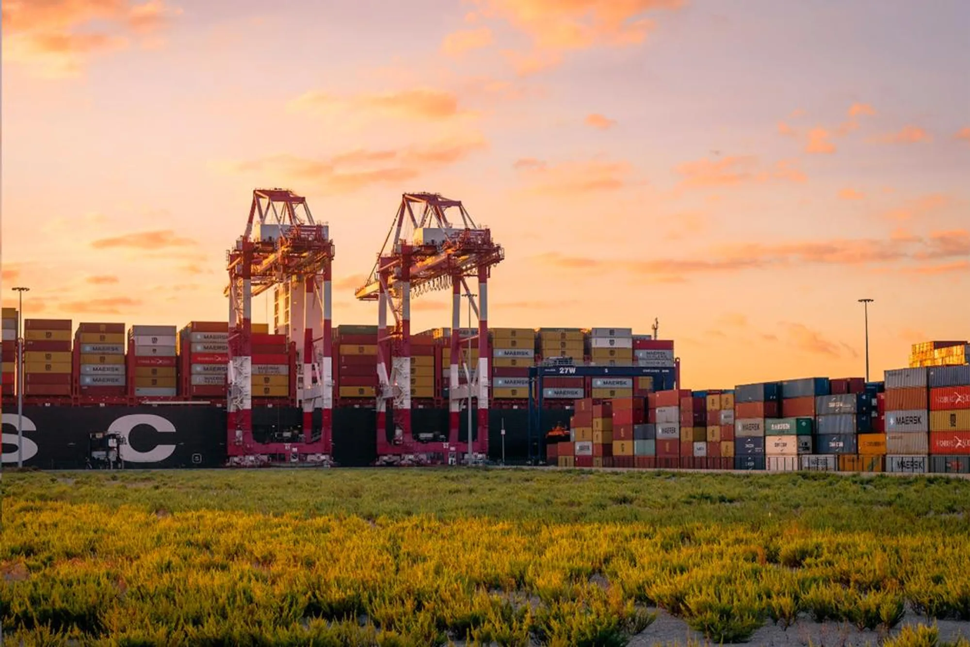 Port and business operations supported by Power Platform